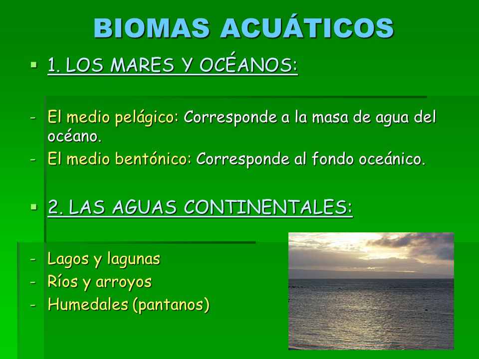 BIOMAS ACUÁTICOS 1. LOS MARES Y OCÉANOS: 2. LAS AGUAS CONTINENTALES: