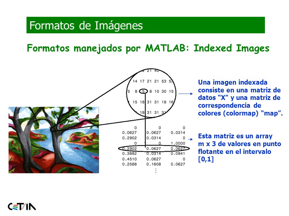 Formatos de Imágenes Formatos manejados por MATLAB: Indexed Images