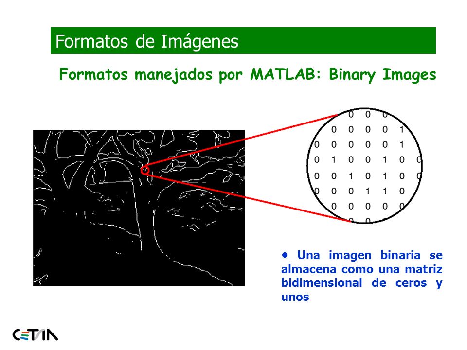 Formatos de Imágenes Formatos manejados por MATLAB: Binary Images