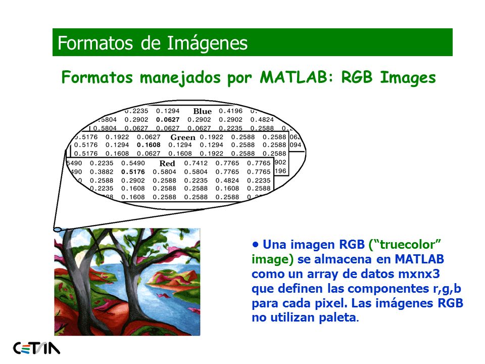Formatos de Imágenes Formatos manejados por MATLAB: RGB Images