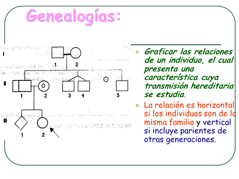 Genealogías: Graficar las relaciones de un individuo, el cual presenta una característica cuya transmisión hereditaria se estudia.