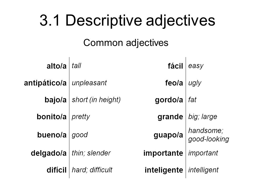 Common adjectives alto/a fácil antipático/a feo/a bajo/a gordo/a