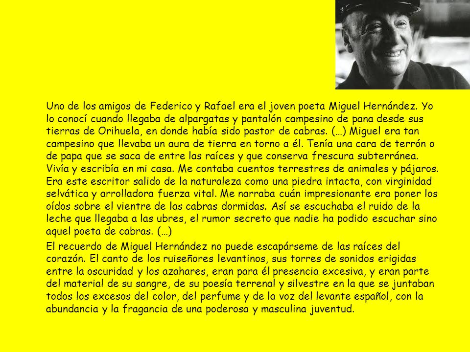 Uno de los amigos de Federico y Rafael era el joven poeta Miguel Hernández. Yo lo conocí cuando llegaba de alpargatas y pantalón campesino de pana desde sus tierras de Orihuela, en donde había sido pastor de cabras. (…) Miguel era tan campesino que llevaba un aura de tierra en torno a él. Tenía una cara de terrón o de papa que se saca de entre las raíces y que conserva frescura subterránea. Vivía y escribía en mi casa. Me contaba cuentos terrestres de animales y pájaros. Era este escritor salido de la naturaleza como una piedra intacta, con virginidad selvática y arrolladora fuerza vital. Me narraba cuán impresionante era poner los oídos sobre el vientre de las cabras dormidas. Así se escuchaba el ruido de la leche que llegaba a las ubres, el rumor secreto que nadie ha podido escuchar sino aquel poeta de cabras. (…)