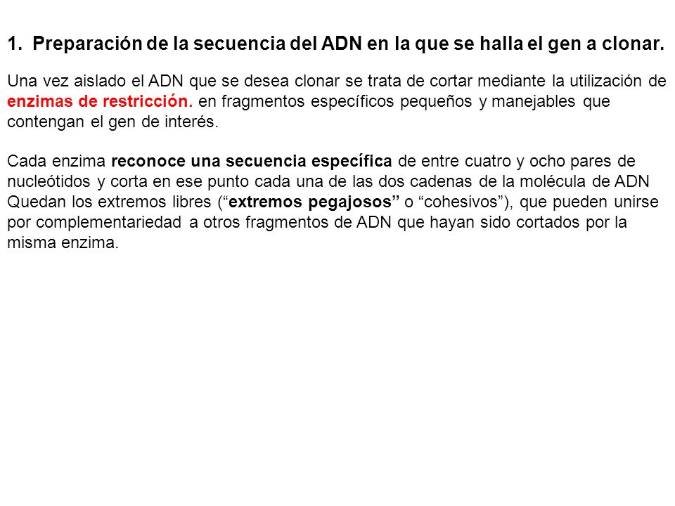 Preparación de la secuencia del ADN en la que se halla el gen a clonar.