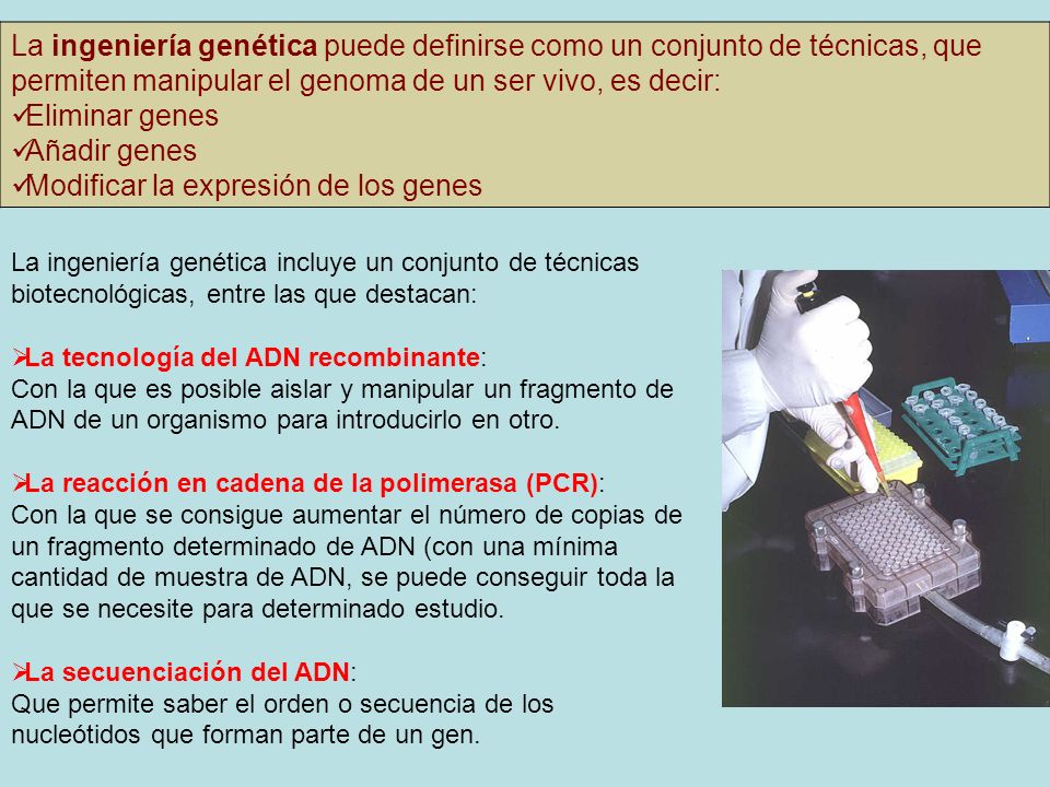 Modificar la expresión de los genes