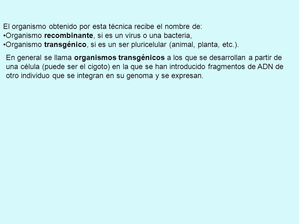 El organismo obtenido por esta técnica recibe el nombre de: