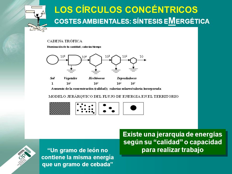 Un gramo de león no contiene la misma energía que un gramo de cebada