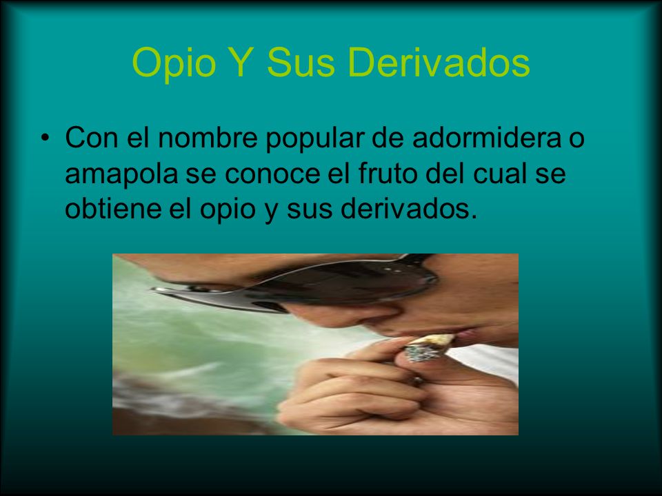 Opio Y Sus Derivados Con el nombre popular de adormidera o amapola se conoce el fruto del cual se obtiene el opio y sus derivados.
