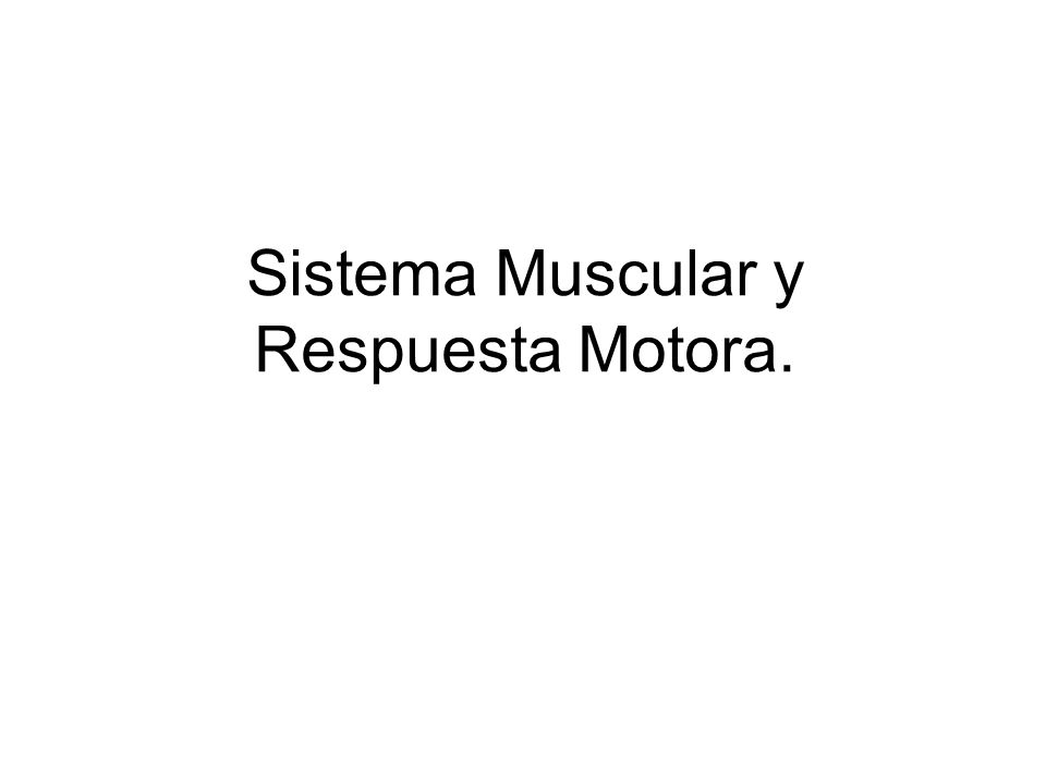 Sistema Muscular y Respuesta Motora.