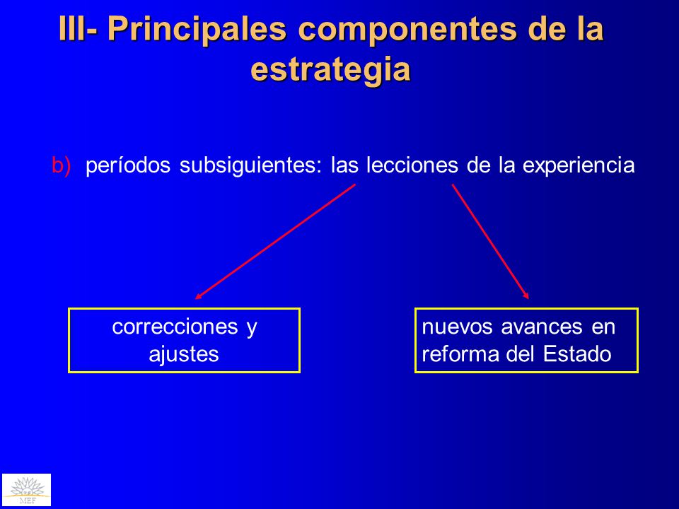 III- Principales componentes de la estrategia