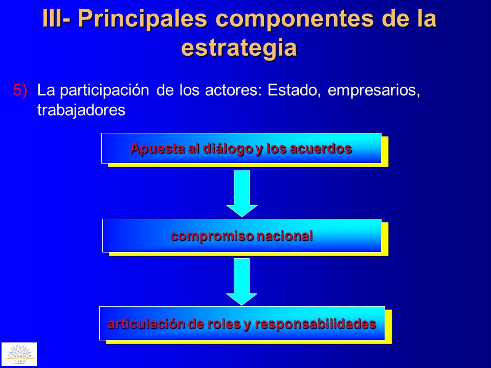 III- Principales componentes de la estrategia