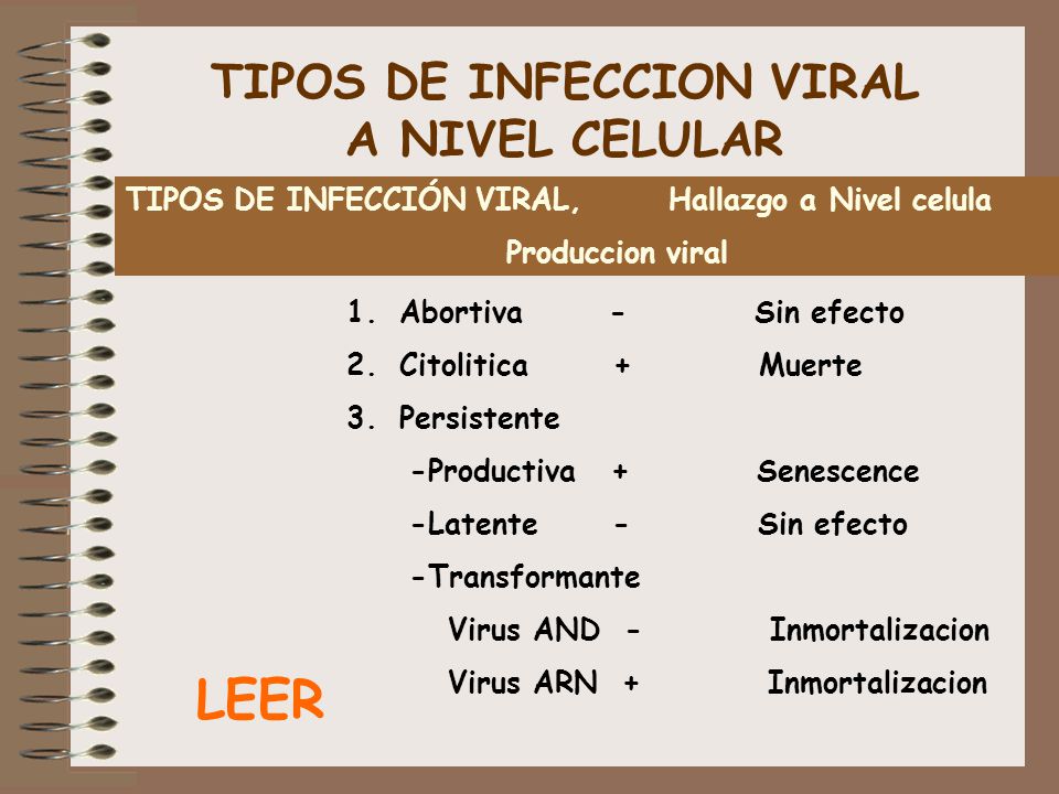 TIPOS DE INFECCION VIRAL A NIVEL CELULAR