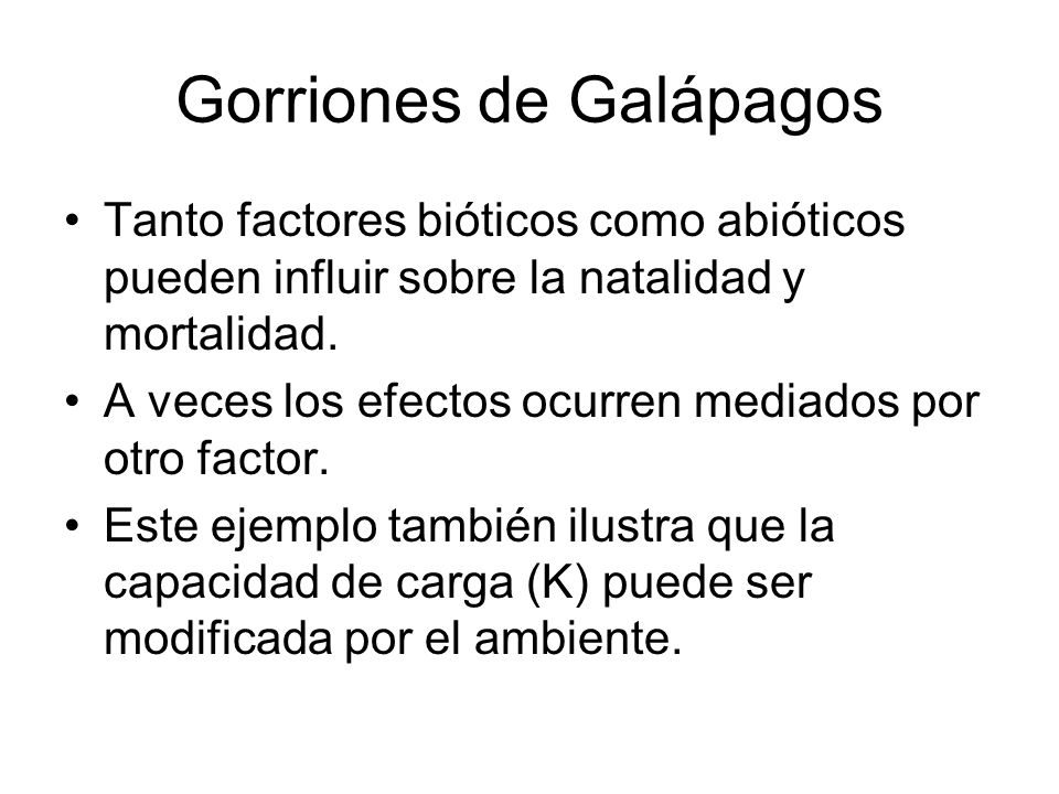 Gorriones de Galápagos