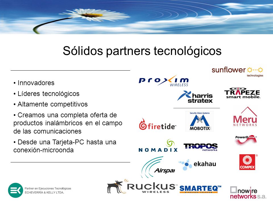 Sólidos partners tecnológicos
