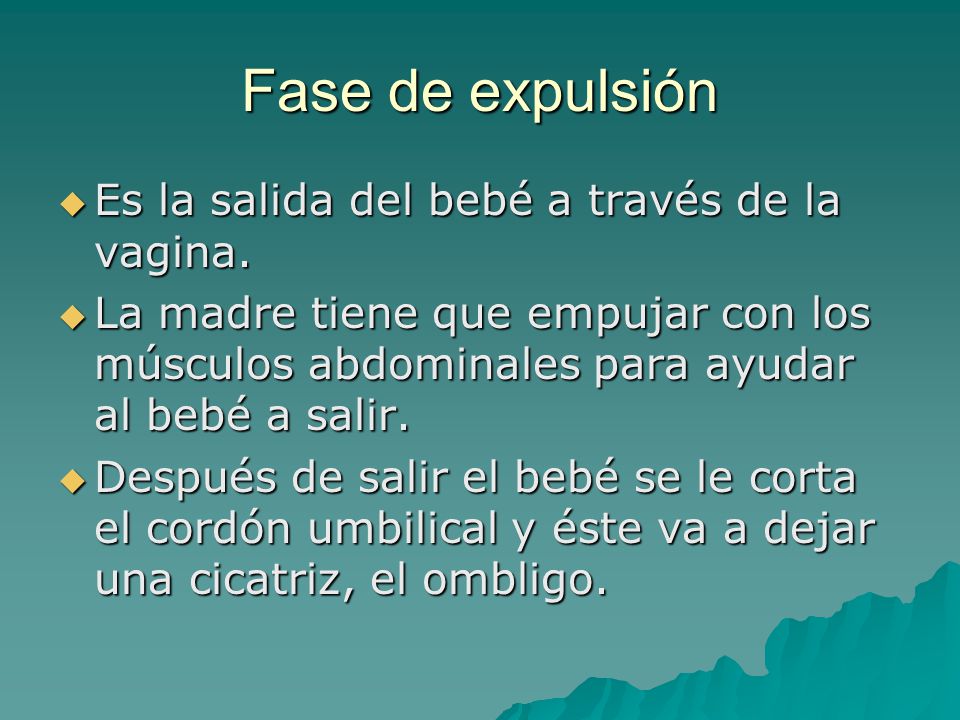 Fase de expulsión Es la salida del bebé a través de la vagina.