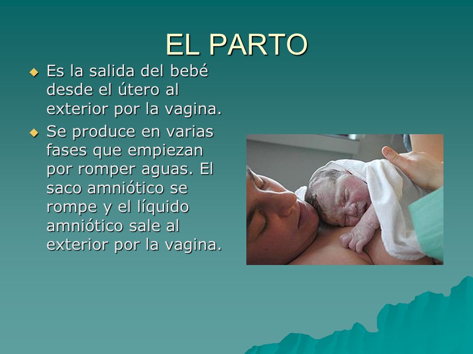 EL PARTO Es la salida del bebé desde el útero al exterior por la vagina.
