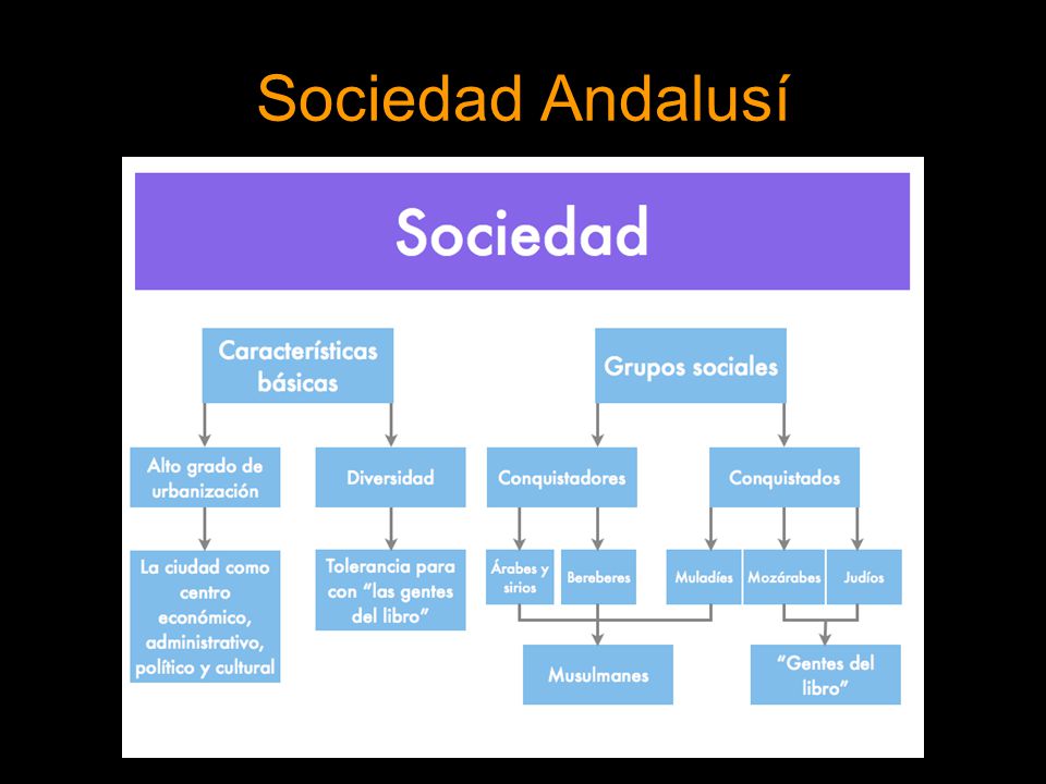 Sociedad Andalusí