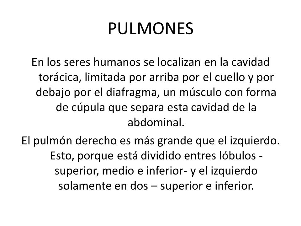 PULMONES