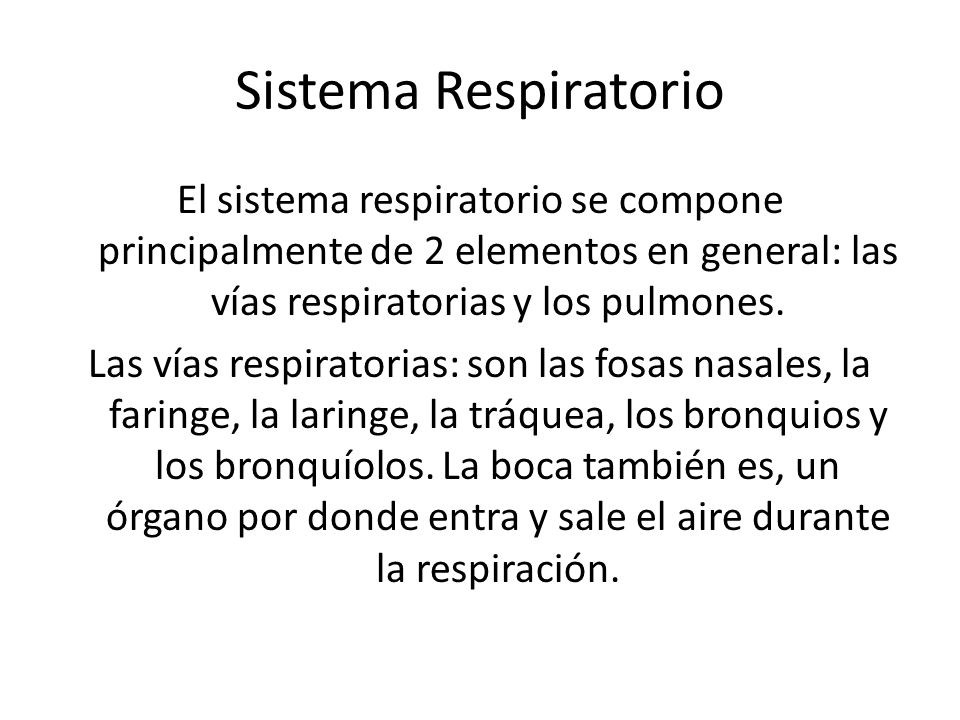 Sistema Respiratorio El sistema respiratorio se compone principalmente de 2 elementos en general: las vías respiratorias y los pulmones.