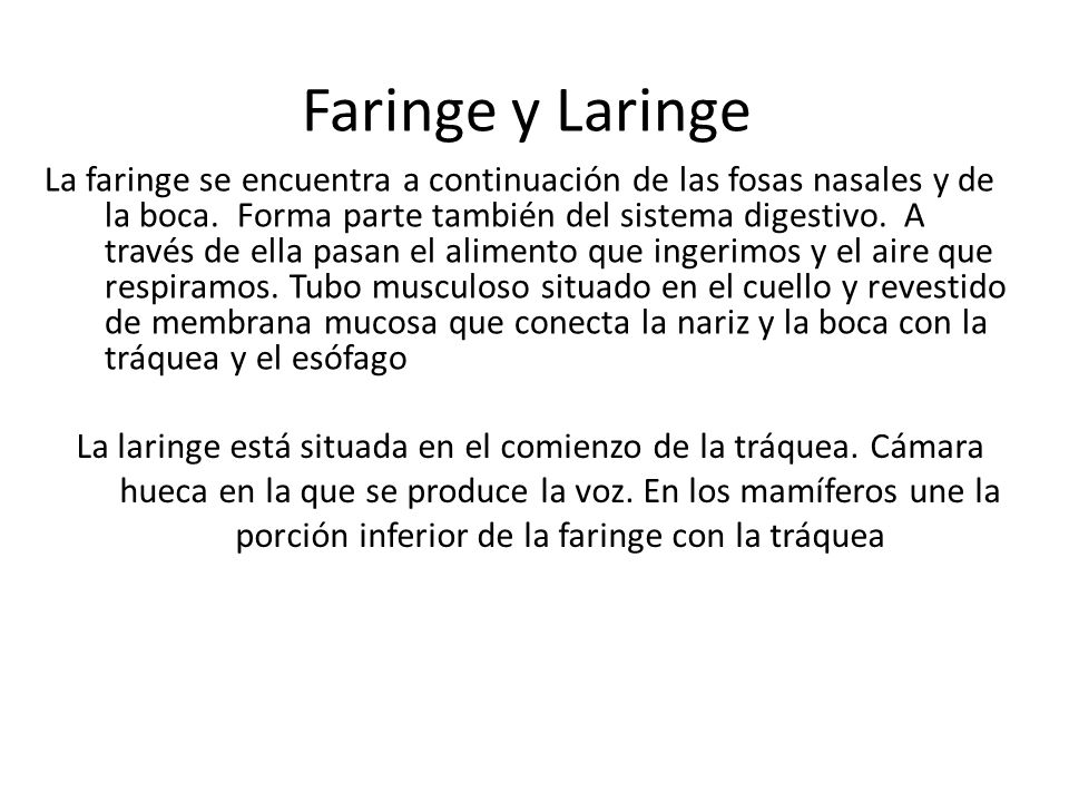 Faringe y Laringe