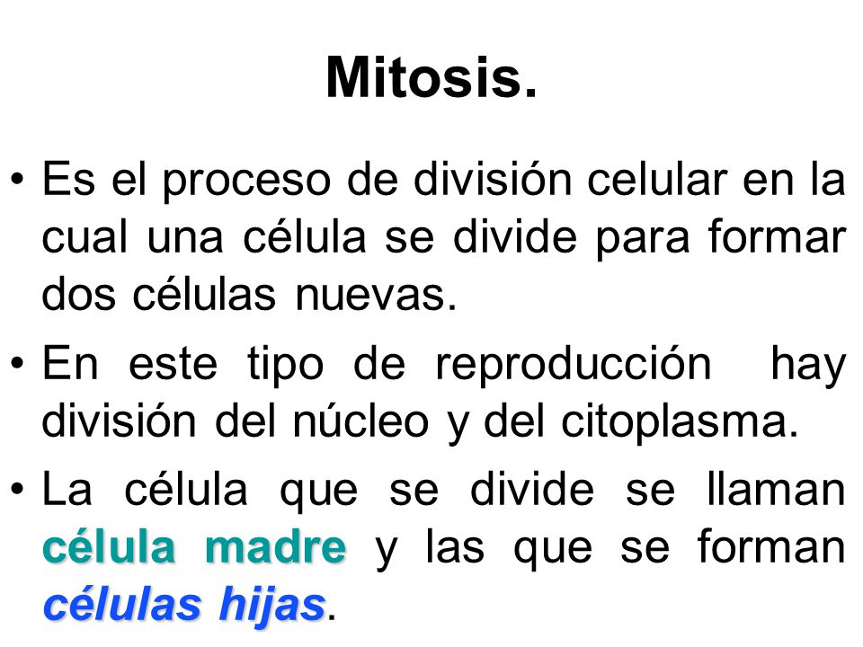 Mitosis. Es el proceso de división celular en la cual una célula se divide para formar dos células nuevas.