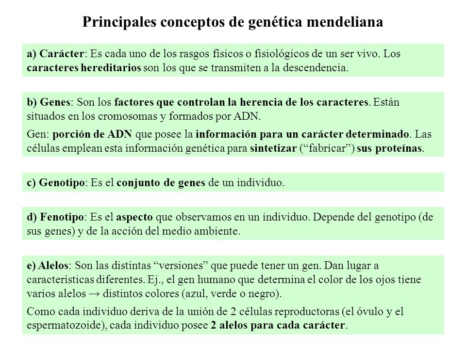 Principales conceptos de genética mendeliana