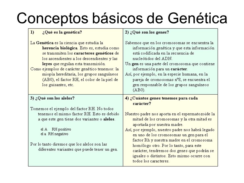 Conceptos básicos de Genética