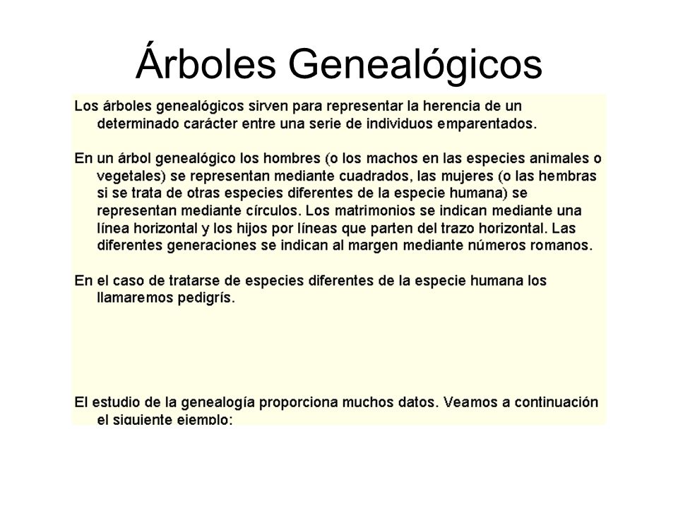 Árboles Genealógicos