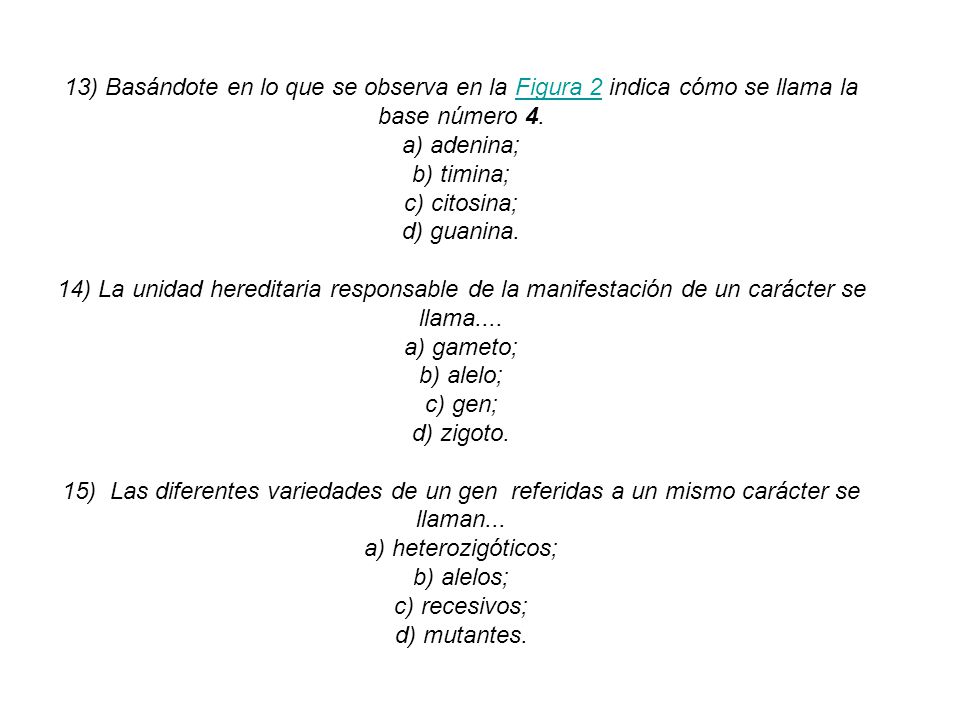 13) Basándote en lo que se observa en la Figura 2 indica cómo se llama la base número 4.