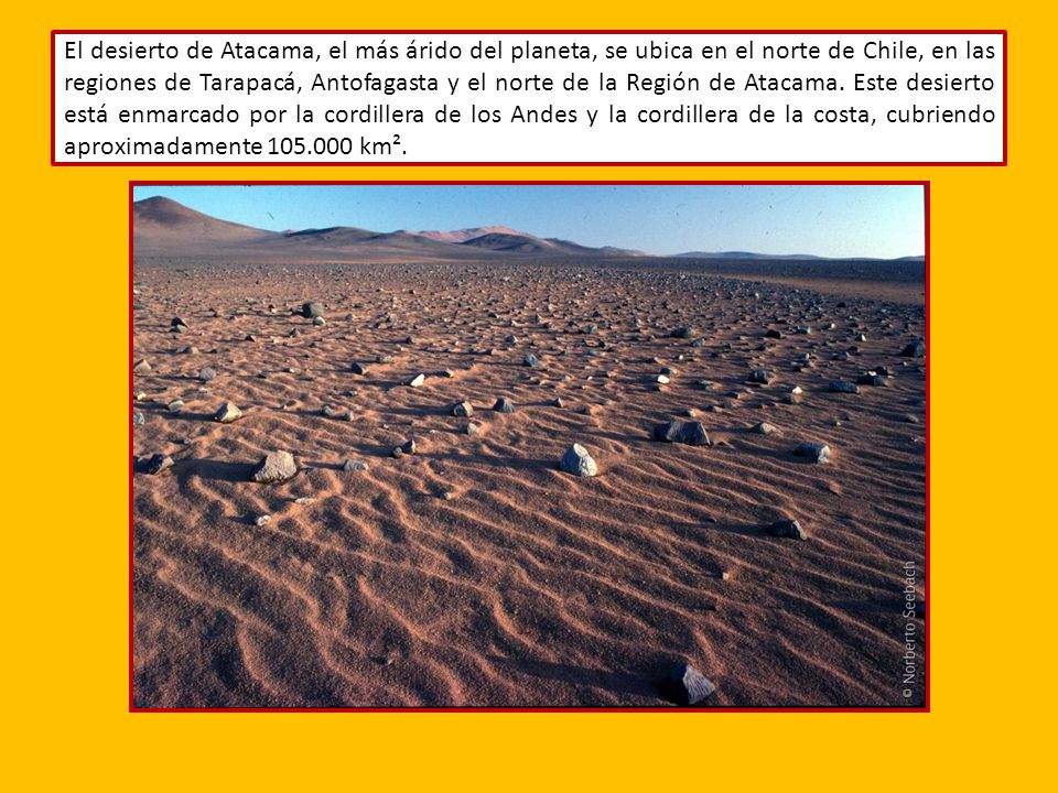 El desierto de Atacama, el más árido del planeta, se ubica en el norte de Chile, en las regiones de Tarapacá, Antofagasta y el norte de la Región de Atacama.