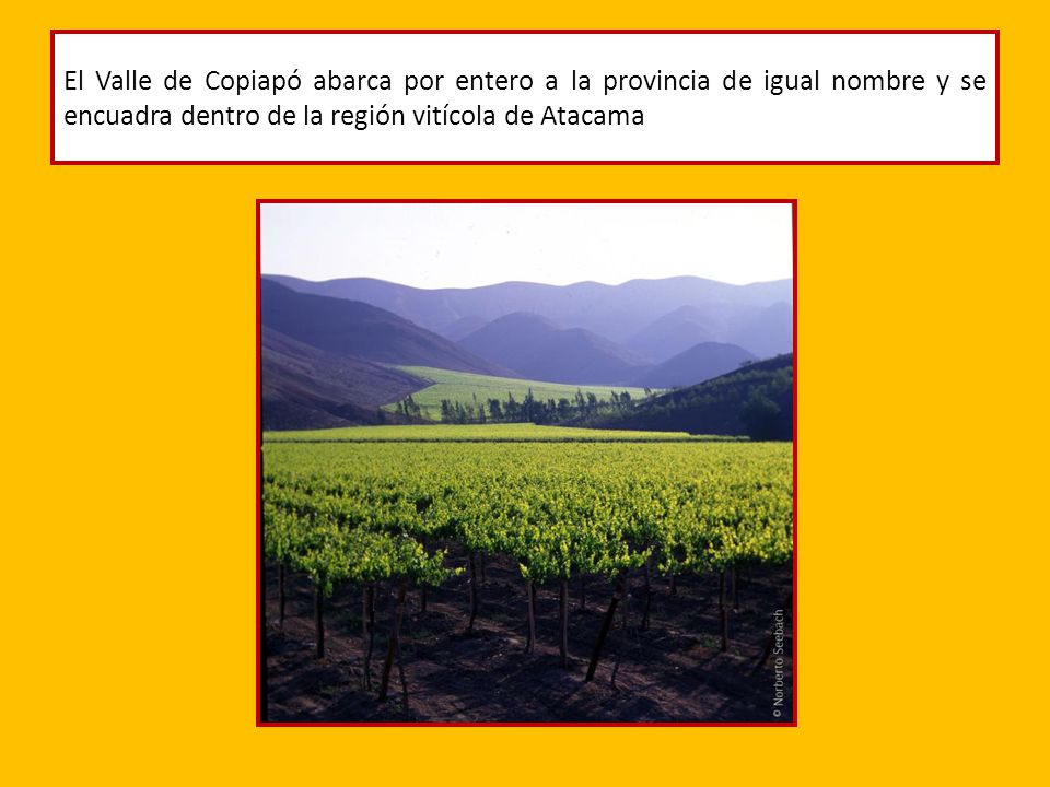 El Valle de Copiapó abarca por entero a la provincia de igual nombre y se encuadra dentro de la región vitícola de Atacama