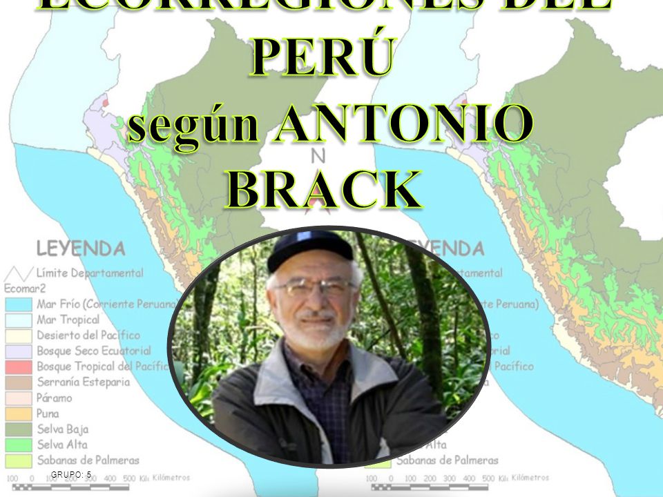 ECORREGIONES DEL PERÚ según ANTONIO BRACK