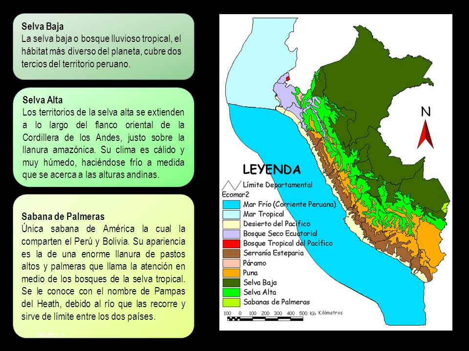 Selva Baja La selva baja o bosque lluvioso tropical, el hábitat más diverso del planeta, cubre dos tercios del territorio peruano.