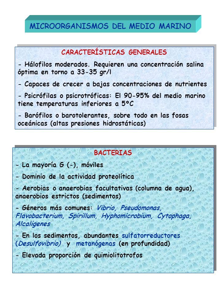MICROORGANISMOS DEL MEDIO MARINO CARACTERÍSTICAS GENERALES