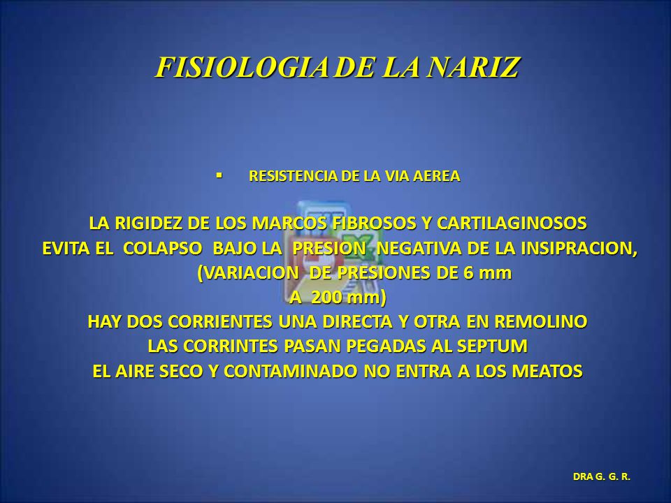 FISIOLOGIA DE LA NARIZ RESISTENCIA DE LA VIA AEREA. LA RIGIDEZ DE LOS MARCOS FIBROSOS Y CARTILAGINOSOS.