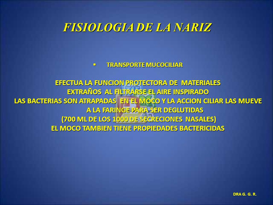 FISIOLOGIA DE LA NARIZ EFECTUA LA FUNCION PROTECTORA DE MATERIALES