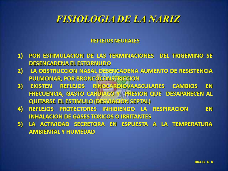 FISIOLOGIA DE LA NARIZ REFLEJOS NEURALES. POR ESTIMULACION DE LAS TERMINACIONES DEL TRIGEMINO SE DESENCADENA EL ESTORNUDO.