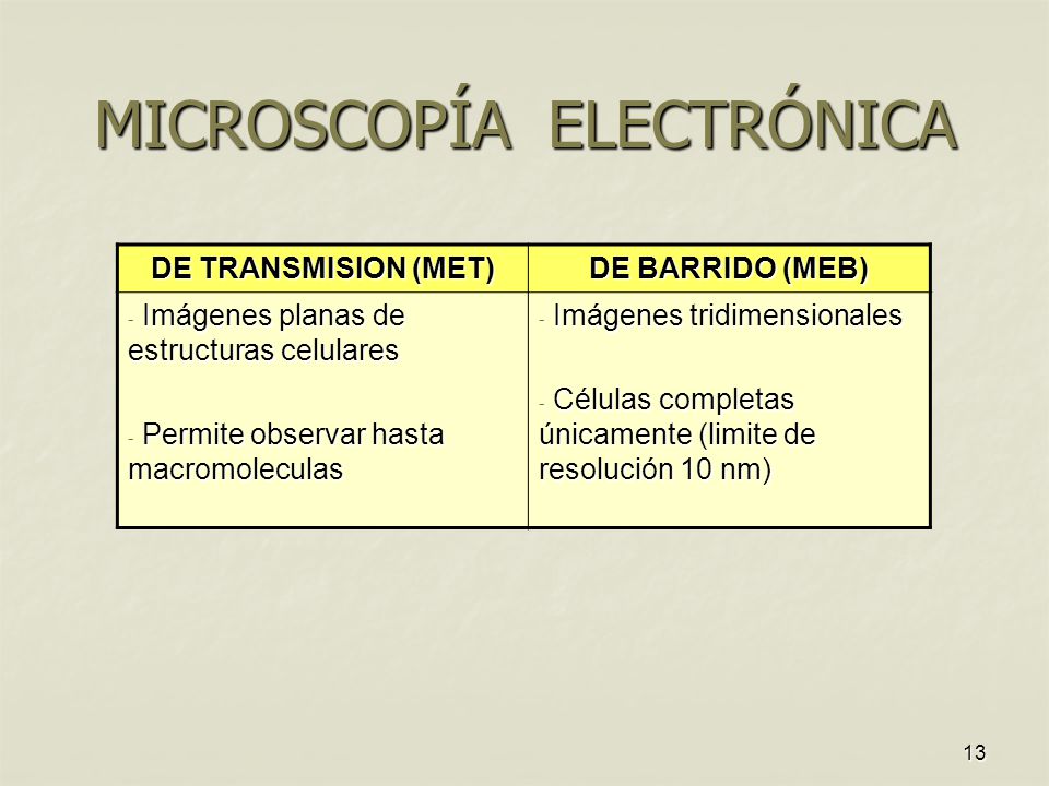 MICROSCOPÍA ELECTRÓNICA