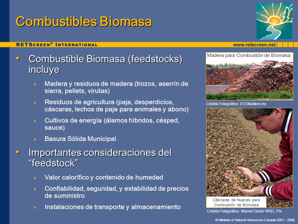 Combustibles Biomasa Combustible Biomasa (feedstocks) incluye