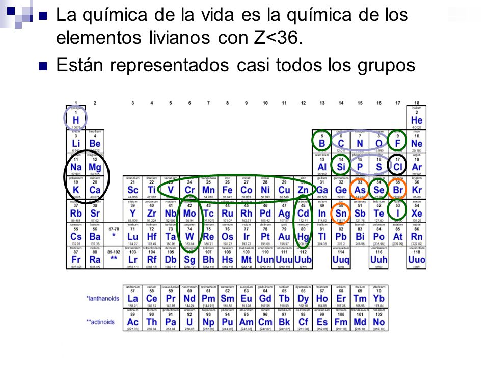 La química de la vida es la química de los elementos livianos con Z<36.