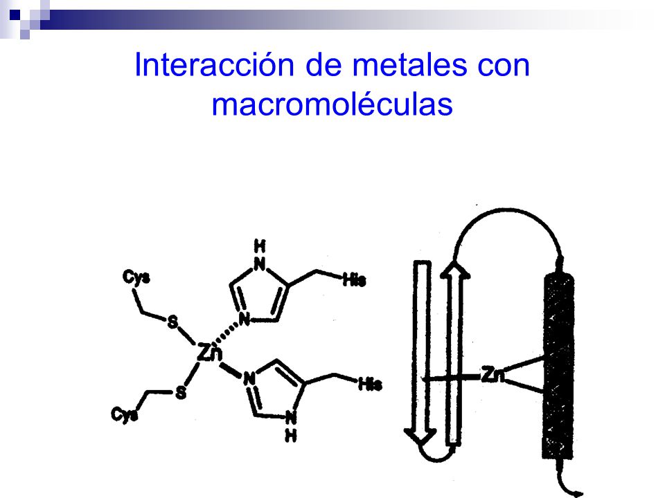 Interacción de metales con macromoléculas