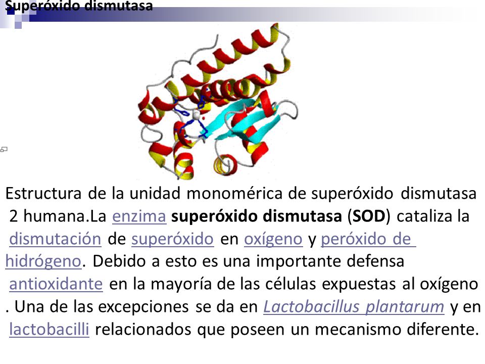 Estructura de la unidad monomérica de superóxido dismutasa