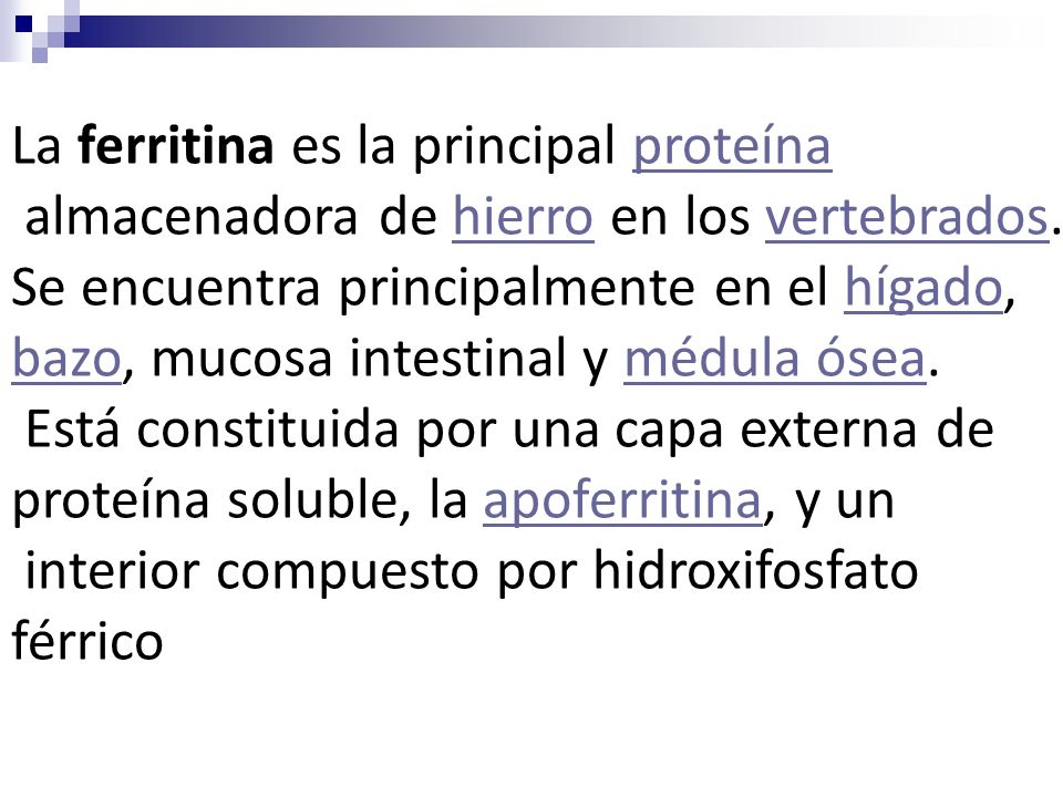 La ferritina es la principal proteína