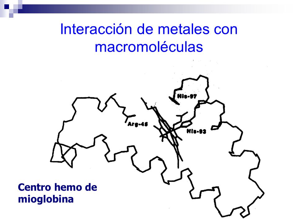 Interacción de metales con macromoléculas