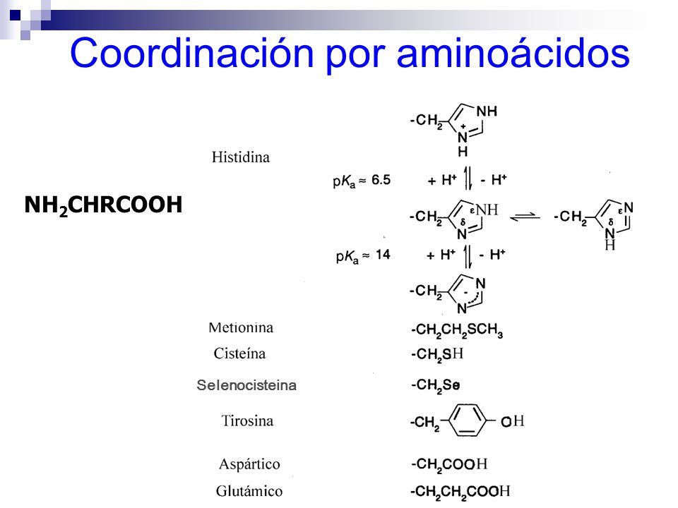 Coordinación por aminoácidos