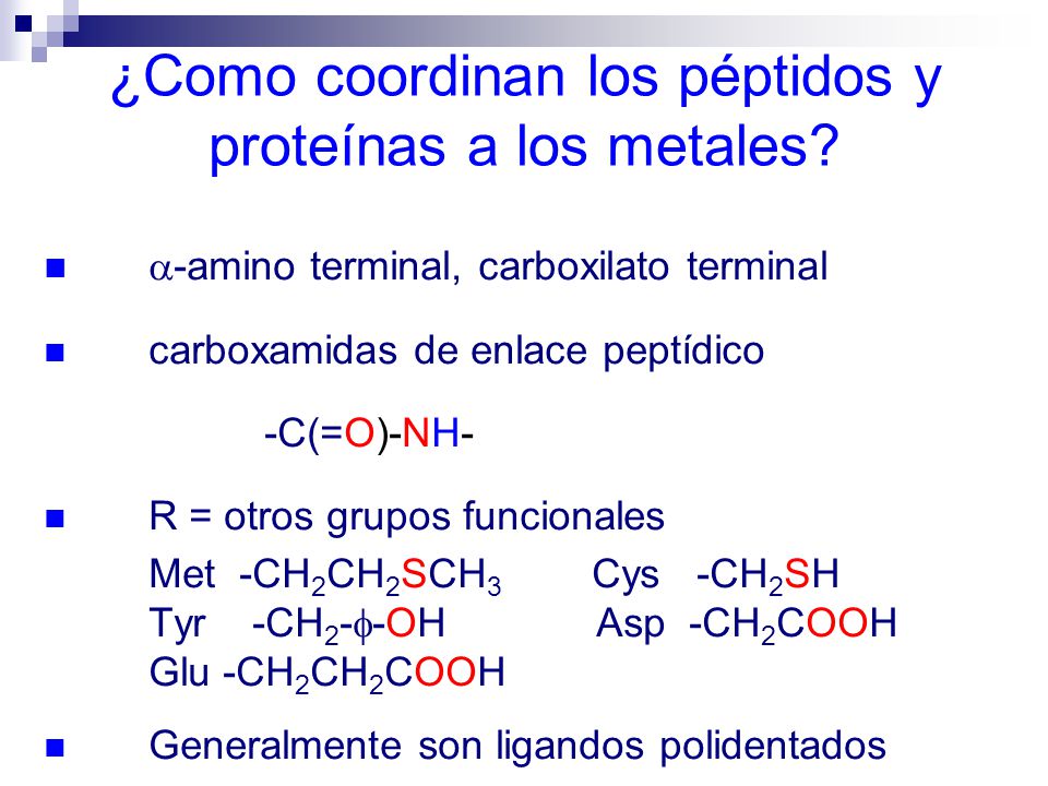 ¿Como coordinan los péptidos y proteínas a los metales