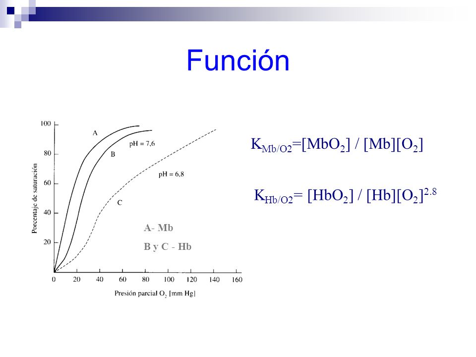 Función KMb/O2=[MbO2] / [Mb][O2] KHb/O2= [HbO2] / [Hb][O2]2.8 A- Mb