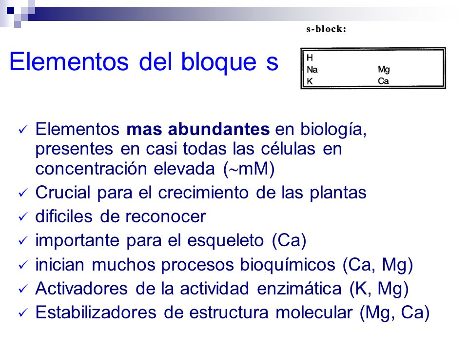 Elementos del bloque s Elementos mas abundantes en biología, presentes en casi todas las células en concentración elevada (mM)