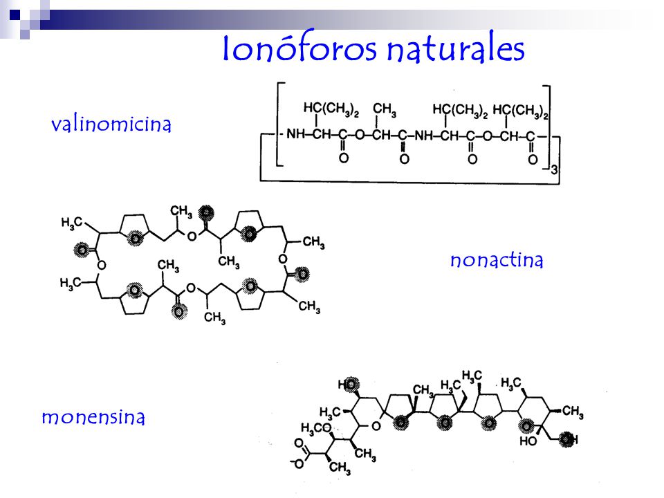 Ionóforos naturales valinomicina nonactina monensina