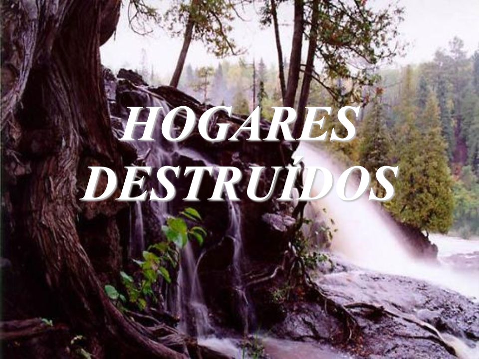 HOGARES DESTRUÍDOS